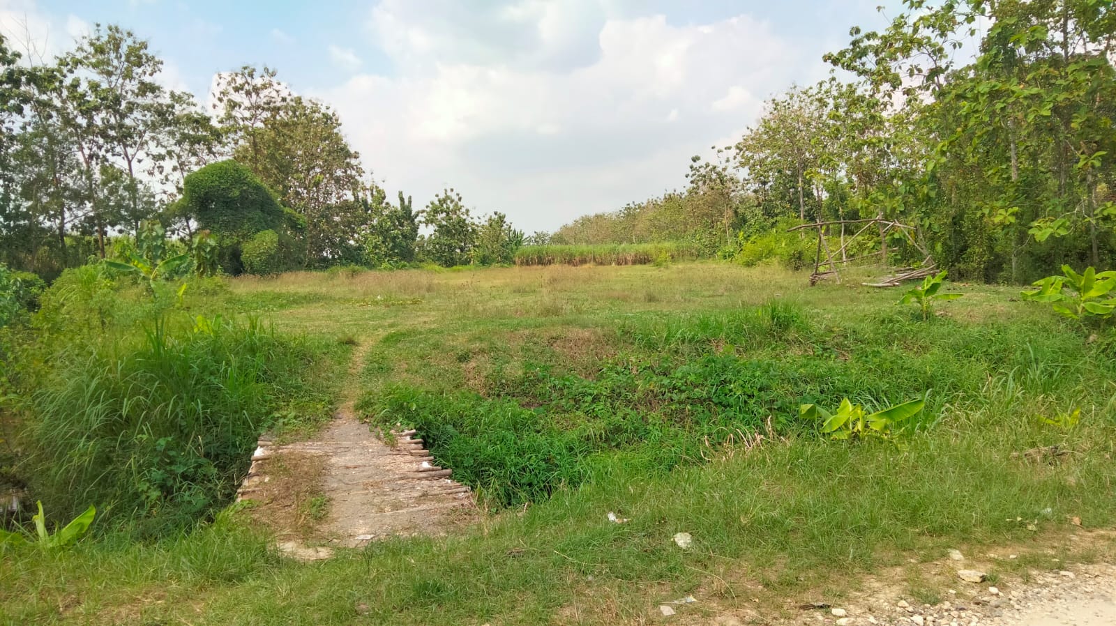 Lahan 3